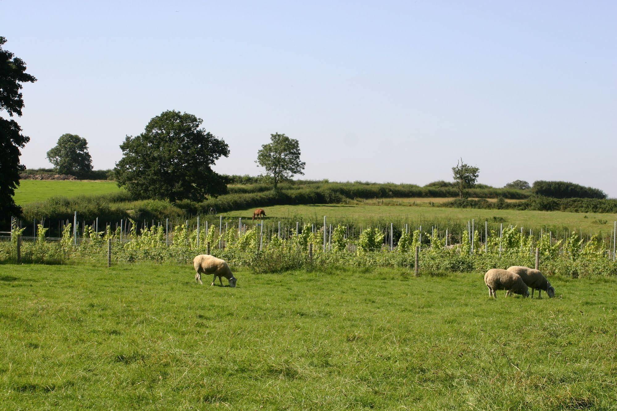 The Swallows Rest Bed & Breakfast Brigstock Bagian luar foto